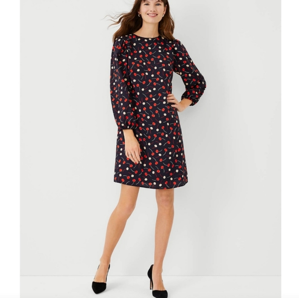 NWT Ann Taylor Cherry Dress XS